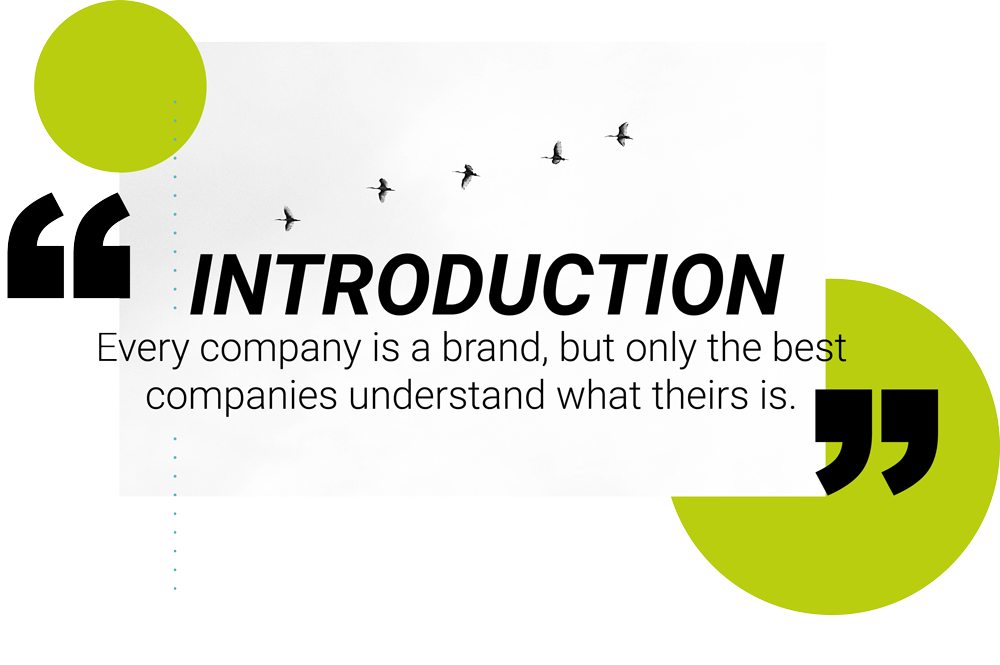 brand-guidelines-introduction