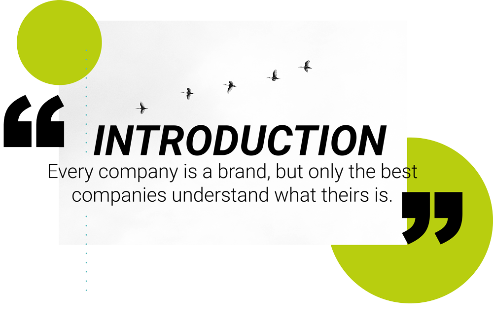 brand-guidelines-introduction